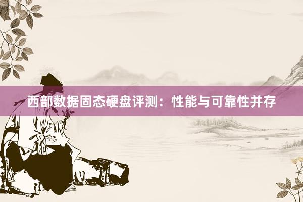 西部数据固态硬盘评测：性能与可靠性并存